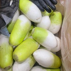 상품 이미지: 제주 월동무 세척무 10kg 겨울 김장무