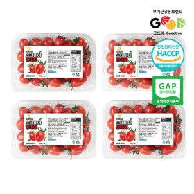 상품 이미지: 스테비아 단마토 대추방울토마토 2kg(1~3번과/로얄과)