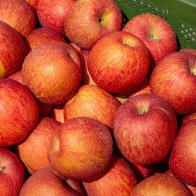 상품 이미지: 경북직송 알뜰 미색 부사사과 1kg+1kg(총 2kg) /2세트구매시 5kg로 발송