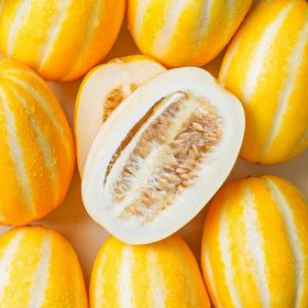 상품 이미지: (신선집중) 참외 산지직송 성주 꿀 참외 4.5kg(혼합과)/실중량