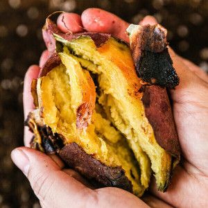 상품 이미지: (신선집중) 고창 김민상님의 황토밭 햇 꿀밤고구마 10kg 특상 / 25년 햇고구마