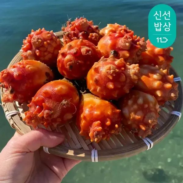 상품 이미지: [품질보장]이순신수산 생산자직판 제철 멍게 활멍게 2kg