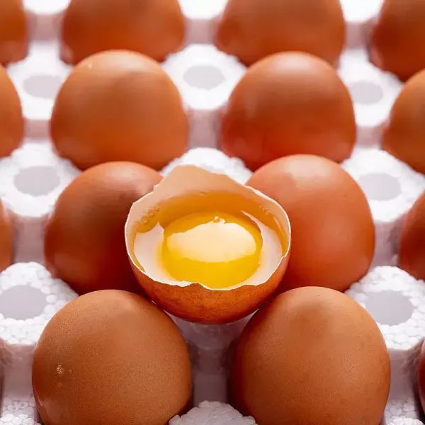 상품 이미지: [HACCP/무항생제 인증] 난각번호 1번 유정란 40구 / 파손보상