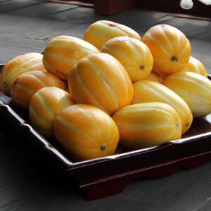 상품 이미지: 성주 꿀 참외 10kg(혼합/실속형/박스포함/못난이/흠과/실금/열과/갈라짐)반품불가