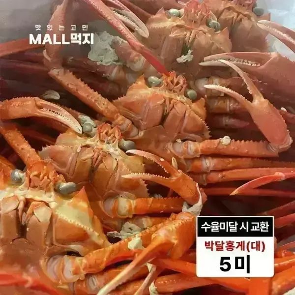 상품 이미지: [수율미달시 교환가능]제철 봄 깊은바다 울릉도 독도 붉은대게 속초 최상급 박달홍게 대 2kg (5미)