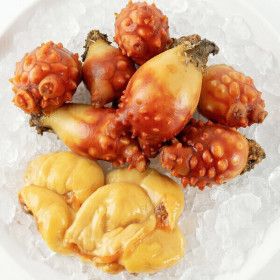 상품 이미지: (신선집중) 국내산 통영 멍게 깐멍게 500g (2개 구매 시 할인+초장증정)