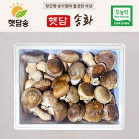 상품 이미지: 햇담 송화버섯 가정용 1kg 농협에 납품하는 이천 무농약 송고버섯 1kg 구매시+건조송화
