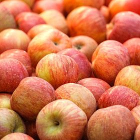 상품 이미지: 국내산 부사 사과 가정용 실속(소과)4kg(23-29과)