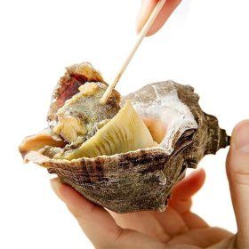 상품 이미지: (신선집중) 태안 자연산 활 참소라 1kg 10-15미 내외/일 300개 한정특가