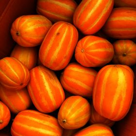 상품 이미지: 성주 참외 고당도 꿀참외 가정용 소과 2kg (실중량)