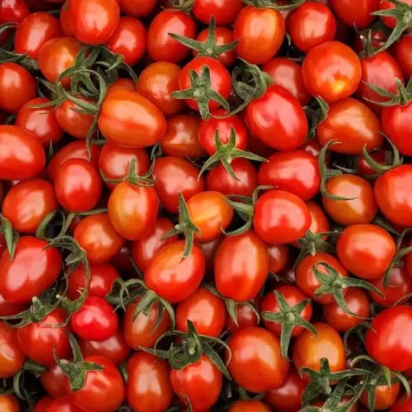 상품 이미지: 착한식탁 스테비아 대추방울토마토 2kg