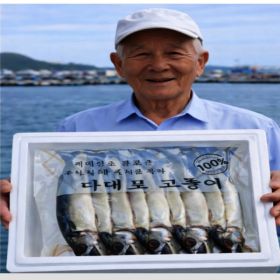 상품 이미지: 국내산 부산 손질 대왕 자반고등어 10미 대짜 (3.7kg 내외) / (물가안정) 당일 한정특가
