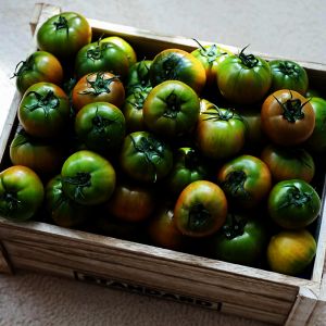 상품 이미지: (타임세일) 달콤짭짤 프리미엄 특품 대저토마토 //  2.5kg(L) 산지직송