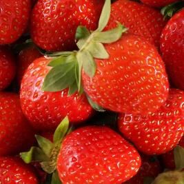 상품 이미지: GAP 지리산 산청 설향 딸기 중품 상품 특품 생딸기 1kg