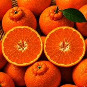 상품 이미지: 산지직송 고당도 한라봉  5kg 초특가