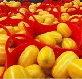 상품 이미지: 첫물 첫수확 행사 당도선별 못난이 성주참외 랜덤&혼합 실중량 4.5kg