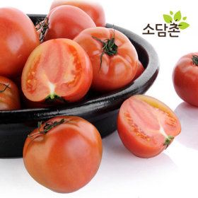 상품 이미지: 국내산 찰토마토 완숙토마토 5kg(5~6번) 소과