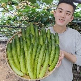 상품 이미지: 가우농산 다다기 오이 20개 (4kg 내외)