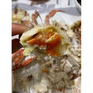 상품 이미지: 봄 알베기 암꽃게 1kg (3~5미) 봄 알베기 암꽃게 특가