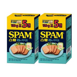 상품 이미지: 스팸 라이트 120g 10개