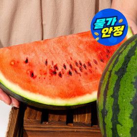 상품 이미지: (물가안정)(신선집중) 당일수확 제철 고당도 하우스 수박 가정용 4kg 당도선별 / 수박 제철시작
