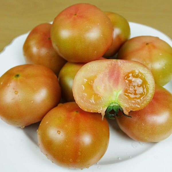 상품 이미지: 보석유천농장 매일수확 새콤달콤 찰토마토 5kg(크기혼합)