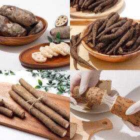 상품 이미지: 국내산 연근/장마/생우엉/흙더덕 가정용(실속) 1kg+1kg / 1+1 구근류 단하루특가