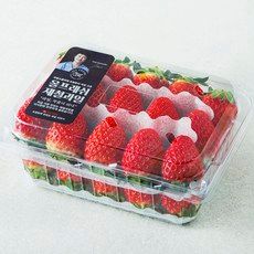 상품 이미지: 올프레쉬 GAP 인증 금실딸기, 1개, 500g