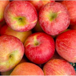 상품 이미지: (초특가행사) 최대16brix 벌꿀당도 경북 사과 부사사과 // 5kg 28-45과내외 박스포함