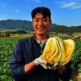 상품 이미지: 해남 절임배추 20kg 절임배추 김장배추 연중판매 해가온