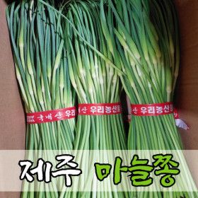 상품 이미지: 제주 햇 마늘쫑 한달만수확 최상품 마늘쫑 4kg 4월 말~5월 초 딱 2주간 판매예정