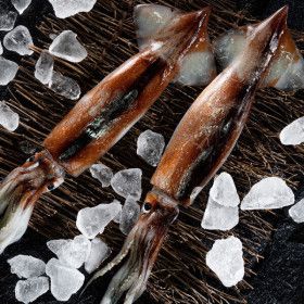 상품 이미지: (신선집중) 자연산 손질오징어 통 오징어 10미 (350gx5팩) 1750g 원양산