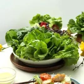 상품 이미지: GAP 유럽 샐러드용 쌈채소 1kg(5-6종 랜덤)