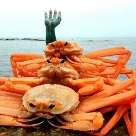 상품 이미지: 당일조업 구룡포 활 자숙 홍게 6kg (19~23미내외) 산지직송 수율70% 내외 무료배송