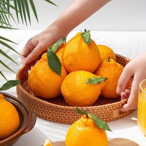 상품 이미지: 제주직송 서귀포 노지 한라봉 (혼합과) 5kg+5kg /총 10kg 박스포함