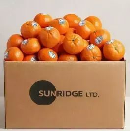 상품 이미지: 썬리지 탱고품종 초고당도 만다린 4.5kg (4kg+500g 추.가.증.정) 초/특/가