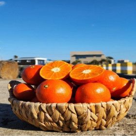 상품 이미지: 봉명청과 제주 홍매향/홍미향 로얄과 3kg  맛없으면 즉시반품 /특가 행사