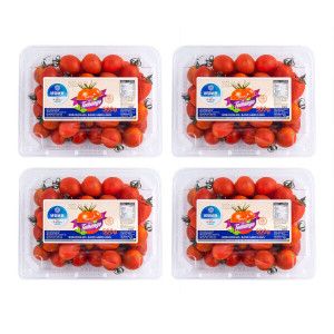 상품 이미지: 달콤한 토망고 2kg (500g x4팩) 스테비아 대추방울토마토 일반/망고향/청포도향