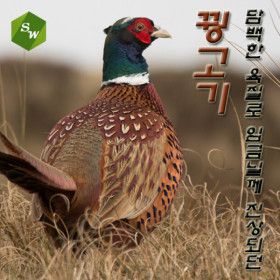 상품 이미지: 보양식  국내산 국내산꿩고기 장끼