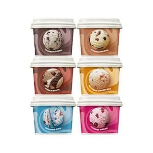 상품 이미지: (배스킨라빈스) 블록팩 (170ml) 6개 SET