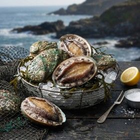 상품 이미지: 특특대 전복 1kg 5~6미  마리당중량 160g내외