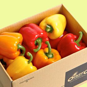 상품 이미지: 오아로 파프리카 스페셜팩 1.5kg