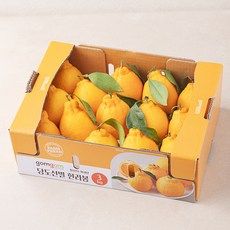 상품 이미지: 곰곰 당도선별 한라봉, 3kg(14~20입), 1박스