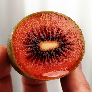 상품 이미지: (신선집중) 제스프리 루비레드키위 1.8kg내외 맛젤 2026년산 (21개 내외)