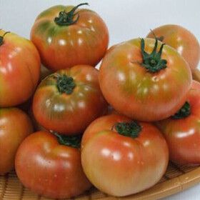 상품 이미지: 정품 찰 토마토 5kg(5번/소과)