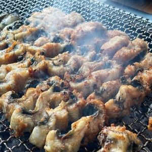 상품 이미지: (신선집중) 고창 풍천 민물장어 자포니카 1kg(손질후600g)