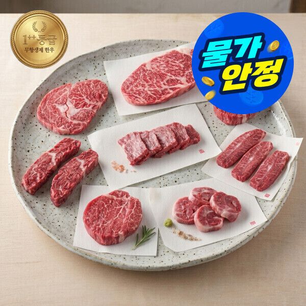 상품 이미지: (물가안정)(신선집중) 순우리한우 1++등급 무항생제 투뿔 한우 200g+200g 9종 택1 / 등심 갈비살 안심 채끝