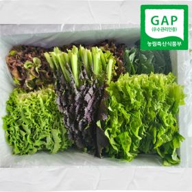 상품 이미지: 모듬 쌈채소 4종 1kg (꽃상추 적겨자 케일 청로메인) 당일수확 산지직송