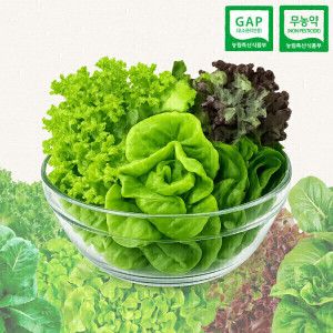 상품 이미지: (신선집중) 친환경 GAP 무농약 부여 유러피안 샐러드 채소 1kg(3-6종) 야채 유럽 채소