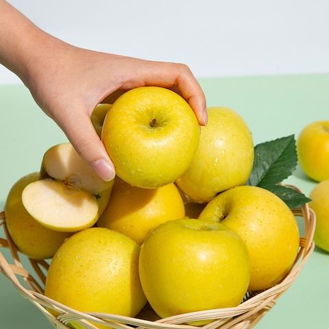 상품 이미지: [추가증정] 황금사과 시나노골드 2kg 외 빨간 부사사과 실중량 사이즈 선택